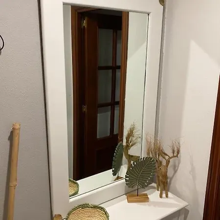 Daire “ledicia”, Piso En Alquiler Vigo