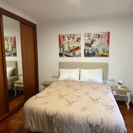 Daire “ledicia”, Piso En Alquiler Vigo